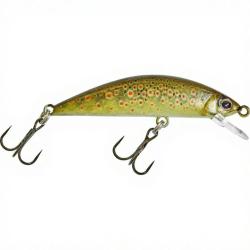 Poisson nageur ILLEX Tricoroll 47 HW RT Truitelle