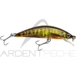 Poisson nageur ILLEX Tricoroll 55 HW RT Spawning vairon