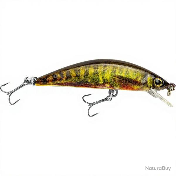 Poisson nageur ILLEX Tricoroll 55 HW RT Spawning vairon