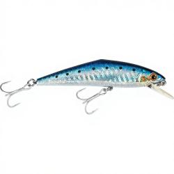 Poisson nageur SMITH D Contact 85 SW 91
