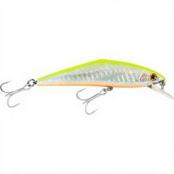 Poisson nageur SMITH D Contact 85 SW 93