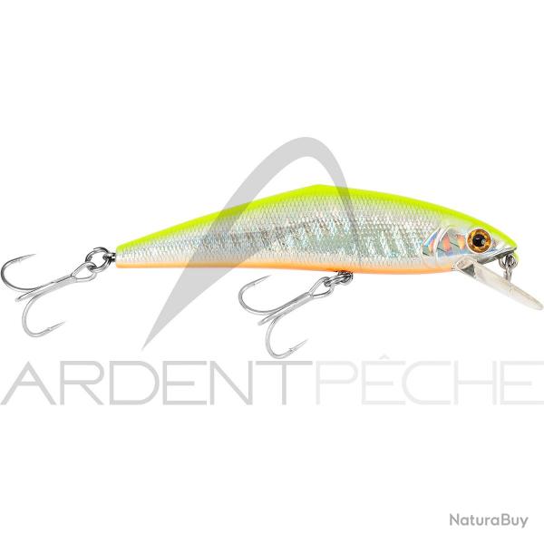 Poisson nageur SMITH D Contact 85 SW 93