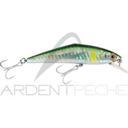 Poisson nageur SMITH D Contact 85 SW 94