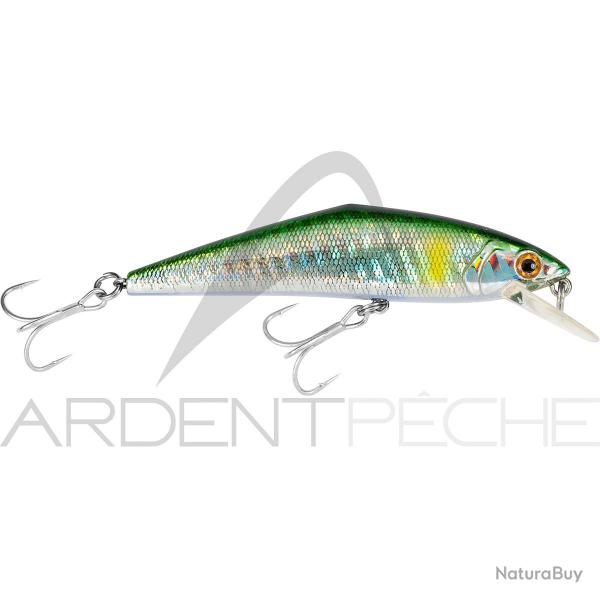 Poisson nageur SMITH D Contact 85 SW 94