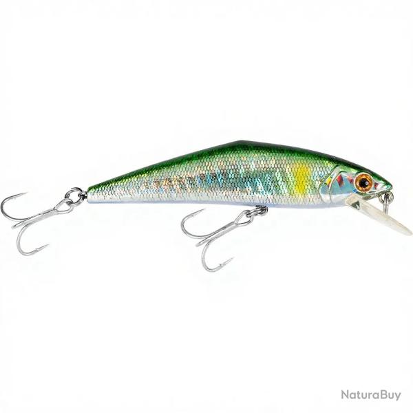 Poisson nageur SMITH D Contact 85 SW 94