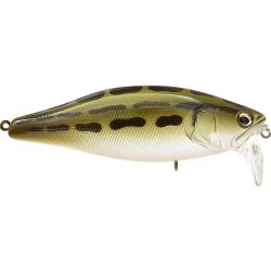 Poisson nageur MEGABASS I Jack French frog