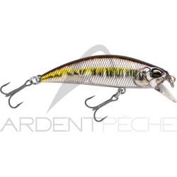 Poisson nageur DUO Spearhead ryuki 45 S GPA4009 River bait
