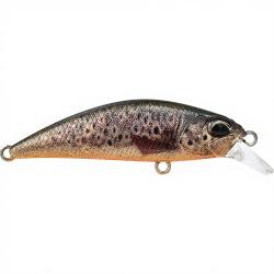 Poisson nageur DUO Spearhead ryuki 45 S CCCZ432 Fario UV