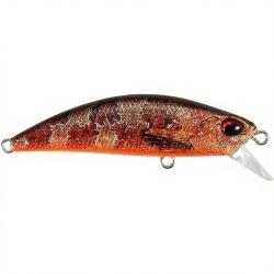Poisson nageur DUO Spearhead ryuki 50 S ACCZ242 Blennie OB
