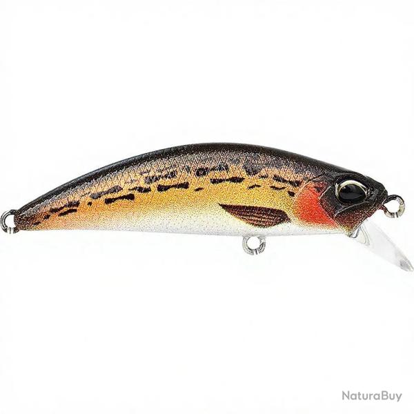 Poisson nageur DUO Spearhead ryuki 50 S ACCZ283 Brown gobie