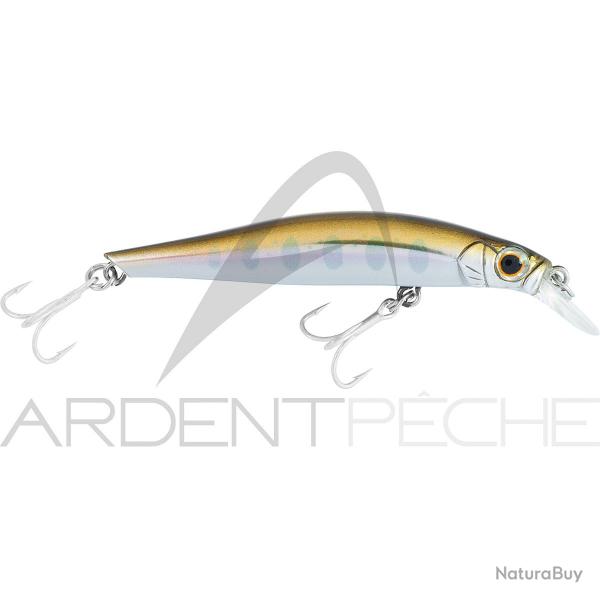 Poisson nageur JACKSON Artist FR70 RY2