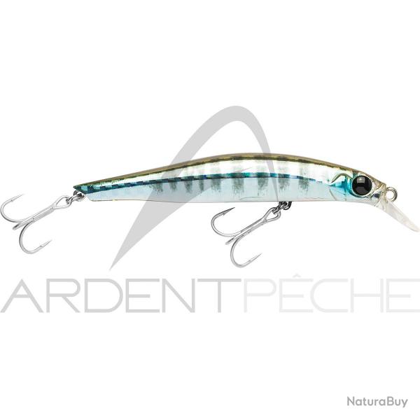 Poisson nageur JACKSON Artist FR70 LVG