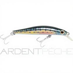 Poisson nageur JACKSON Artist FR70 Vairon