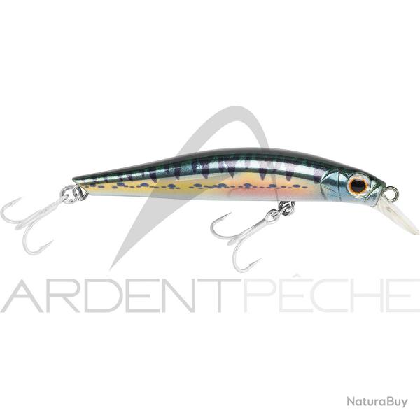 Poisson nageur JACKSON Artist FR70 Vairon