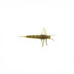 Leurre souple SAVAGE GEAR 3D PVC Mayfly 50 Vert