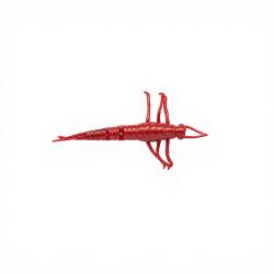Leurre souple SAVAGE GEAR 3D PVC Mayfly 50 Rouge