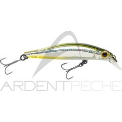 Poisson nageur JACKSON Artist FR55 SSS