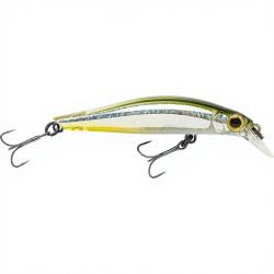 Poisson nageur JACKSON Artist FR55 SSS