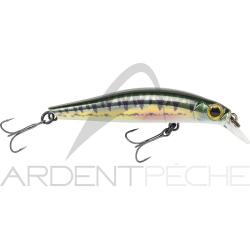 Poisson nageur JACKSON Artist FR55 Vairon
