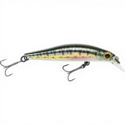 Poisson nageur JACKSON Artist FR55 Vairon