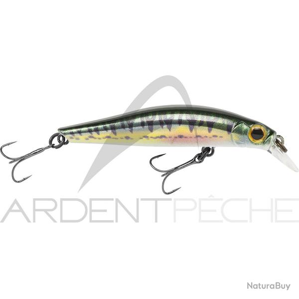 Poisson nageur JACKSON Artist FR55 Vairon