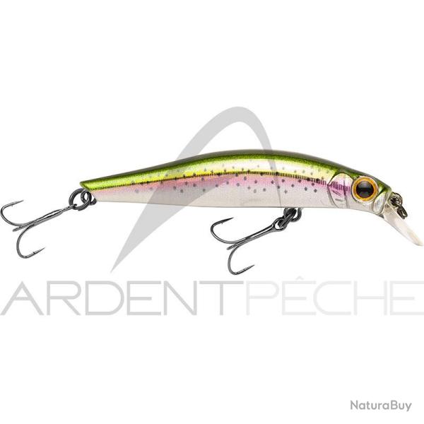 Poisson nageur JACKSON Artist FR55 RN