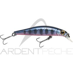 Poisson nageur JACKSON Artist FR55 SMY