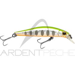 Poisson nageur JACKSON Artist FR55 LYMK