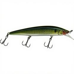 Poisson nageur ILLEX Rerange 110 SP Chart back mullet