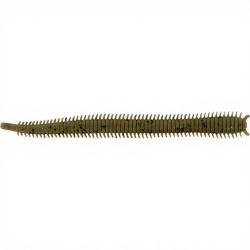 Leurre souple MARUKYU Isome L 05