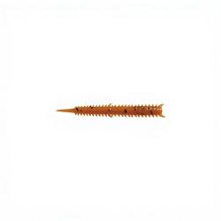 Leurre souple MARUKYU Mini power isome Marron