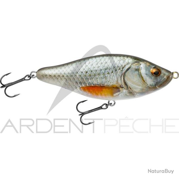 Poisson nageur BIWAA Raffal 100 38 Roach