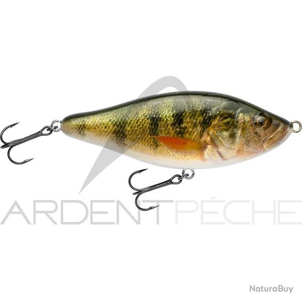 Poisson nageur BIWAA Raffal 100 39 Yellow perch