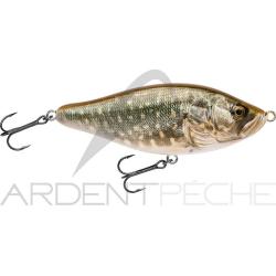 Poisson nageur BIWAA Raffal 100 40 Pike