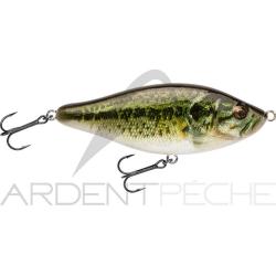 Poisson nageur BIWAA Raffal 150 01 Real bass