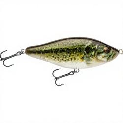 Poisson nageur BIWAA Raffal 150 01 Real bass