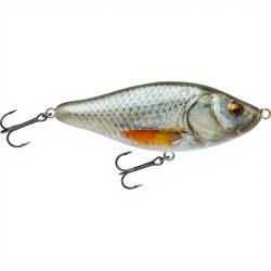 Poisson nageur BIWAA Raffal 150 38 Roach