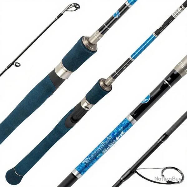 Canne SMITH Dragonbait seabass LX 2.40m / 10 - 30g
