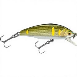 Poisson nageur SMITH D Incite 53 08