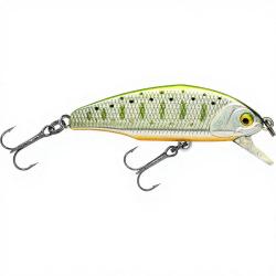 Poisson nageur SMITH D Incite 53 18
