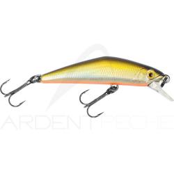 Poisson nageur SMITH D Compact 38 04