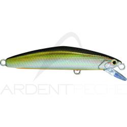 Poisson nageur SMITH F Select 64 05