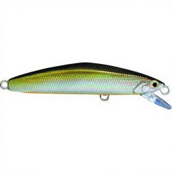 Poisson nageur SMITH F Select 64 05