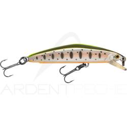Poisson nageur SMITH F Select 64 07