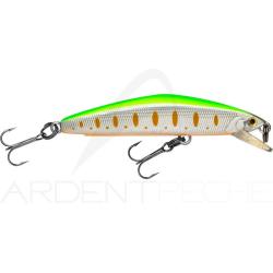 Poisson nageur SMITH F Select 64 13