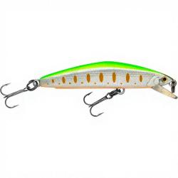 Poisson nageur SMITH F Select 64 13