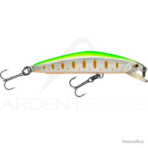 Poisson nageur SMITH F Select 64 13
