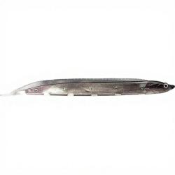 Leurre souple FISH ARROW Flash J shirasu 3 104