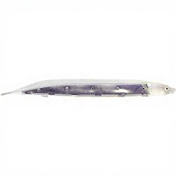 Leurre souple FISH ARROW Flash J shirasu 3 147