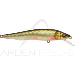 Poisson nageur MEGABASS Vision 95 Rotengle